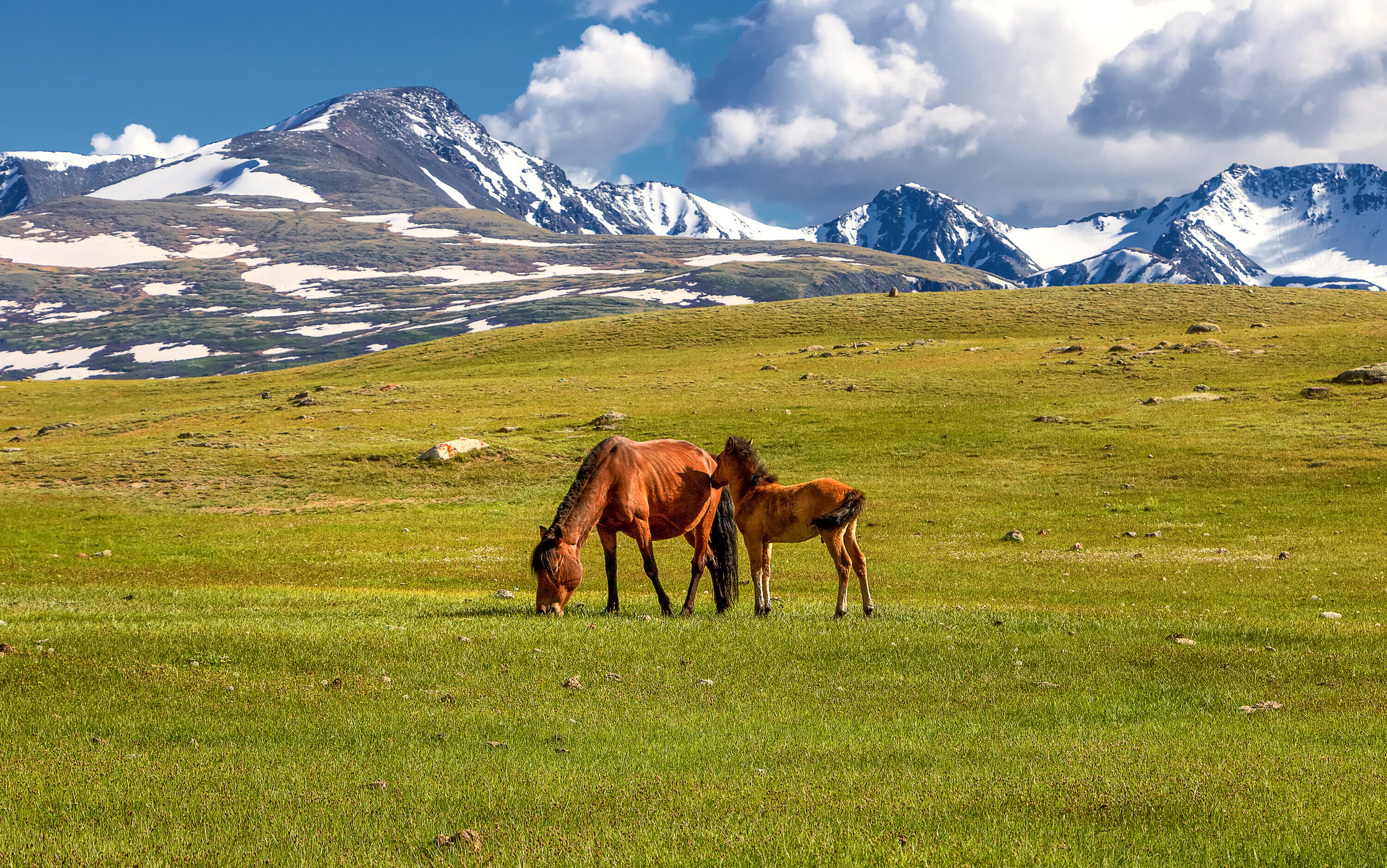 Mongolia